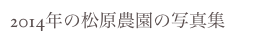 2014年の松原農園の写真集