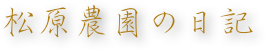 松原農園の日記